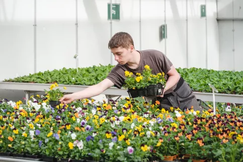 Jeune s'occupant des plante dans la serre du Campus Saint-Antoine de Marcoussis