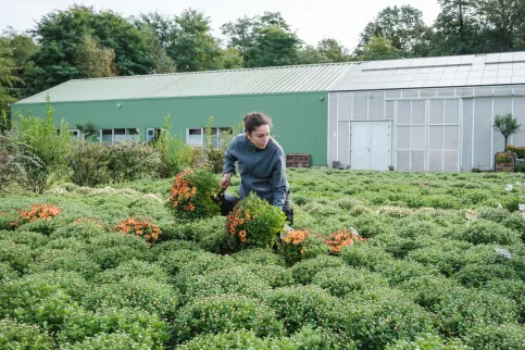 Une jeune fille s'occupant de plante devant les serres du Campus Saint-Antoine