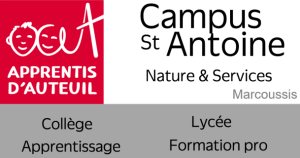 Logo Saint-Antoine