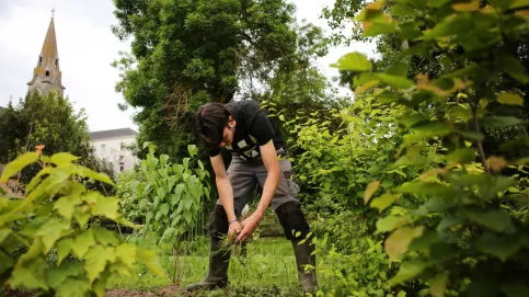 Un jeune en tenue de jardinier ramasse des végétaux. 