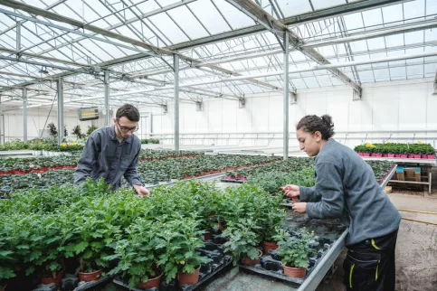 Deux jeunes en formation horticulture travaillant sous serre