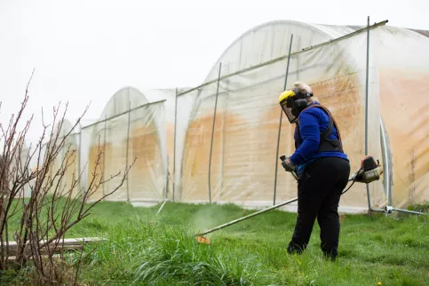 Femme qui s'occupe d'une pelouse
