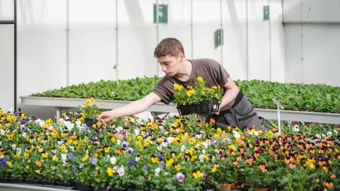 Jeune s'occupant des plante dans la serre du Campus Saint-Antoine de Marcoussis