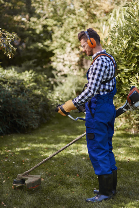 Homme désherbant un jardin 