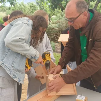 un professeur et un élève en ébénisterie réalisent un nichoir à mésanges