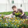 Jeune dans une serre s'occupant de plantes